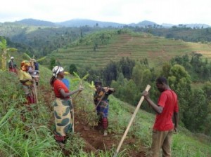 Rwanda : Les réformes agraires et foncières, quel impact pour les petits producteurs ?